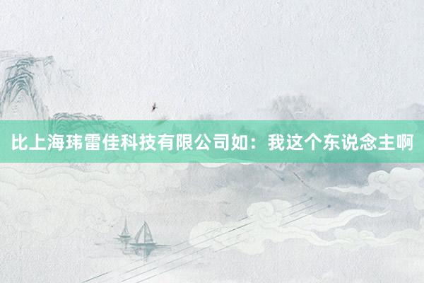 比上海玮雷佳科技有限公司如:我这个东说念主啊