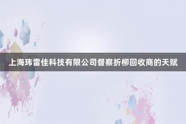 上海玮雷佳科技有限公司督察折柳回收商的天赋